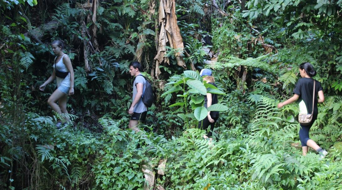A Projects Abroad group hike in a rainforest during their community volunteering in a Samoan village. A group explores a nearby rainforest while they volunteer in a village in Samoa.